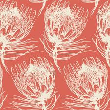 KING PROTEA